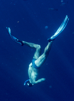 Tiburón, En Las Garras Del Hombre